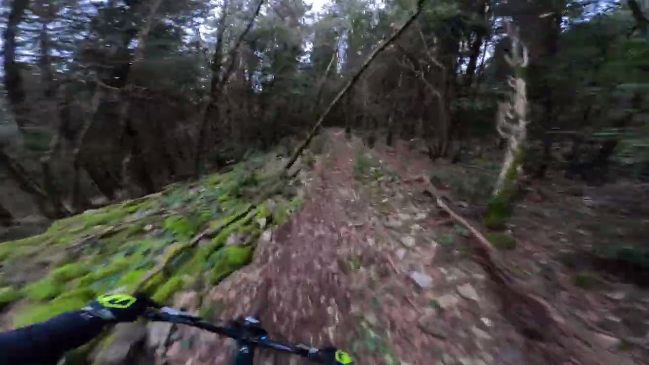 Rollercoast ( monte morello ) 