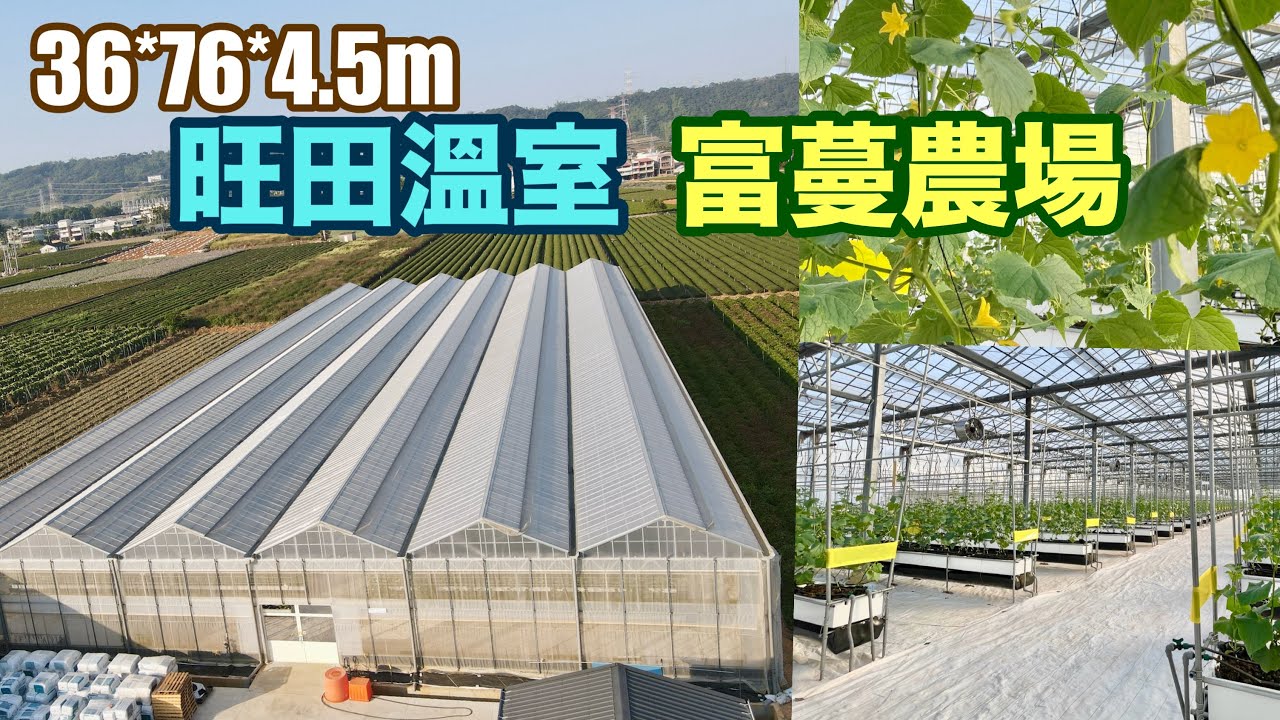 【旺田溫室#010】強固型F-CLEAN溫室在南投縣Taiwan’s Greenhouse by Wang Tian in 2023奇郁企業.鍠麟機械有限公司. 鴻緯農業科技.富蔓農場