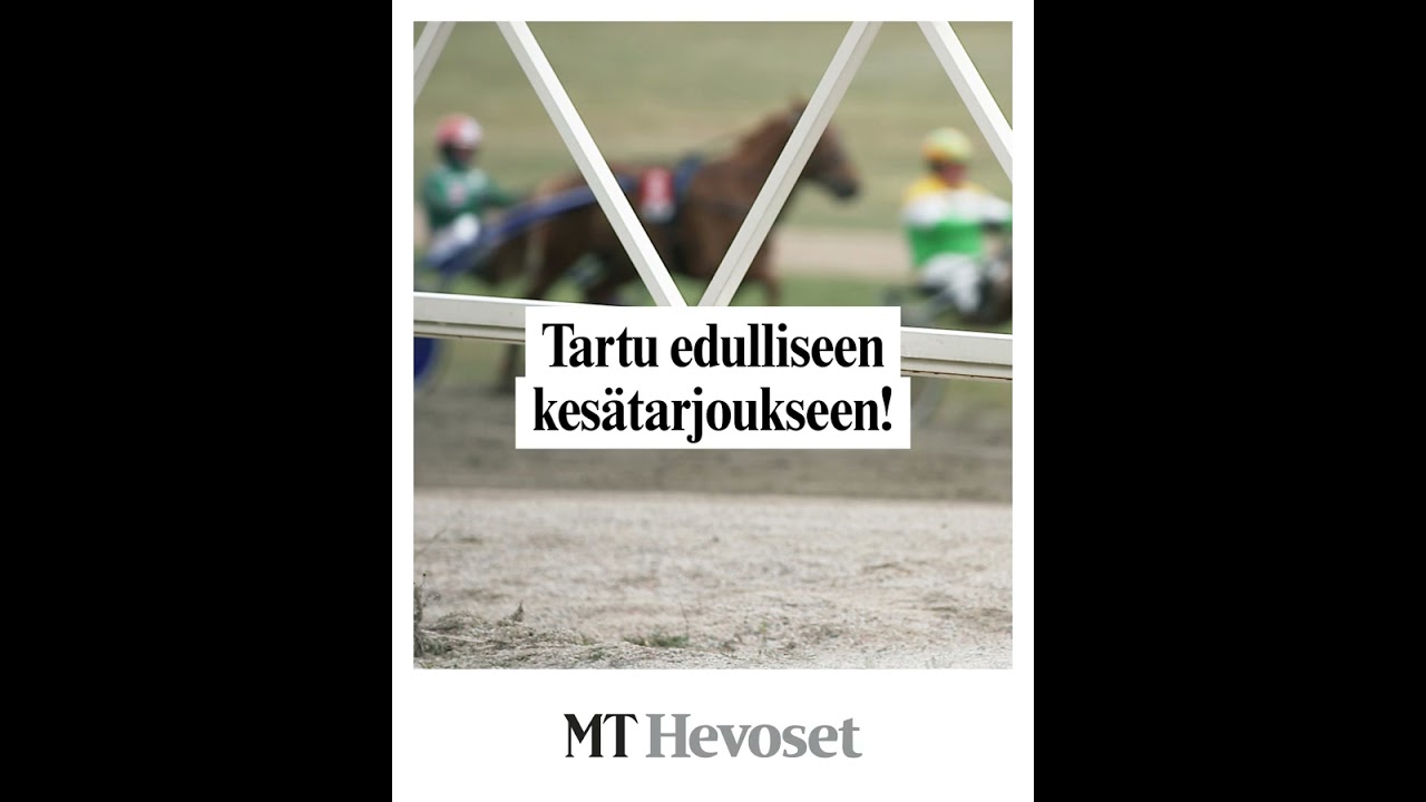 MT Hevoset Kesatarjous 15 s pysty