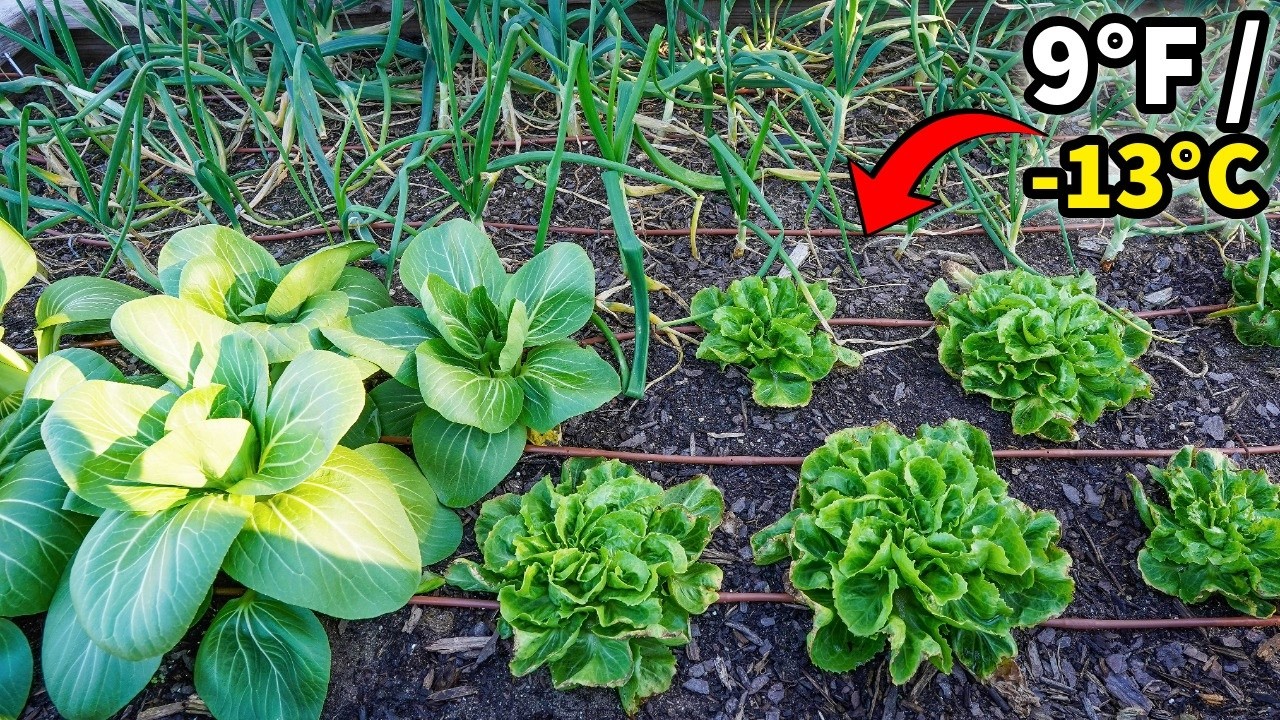 Record Breaking Freeze Reveals SHOCKING Findings!