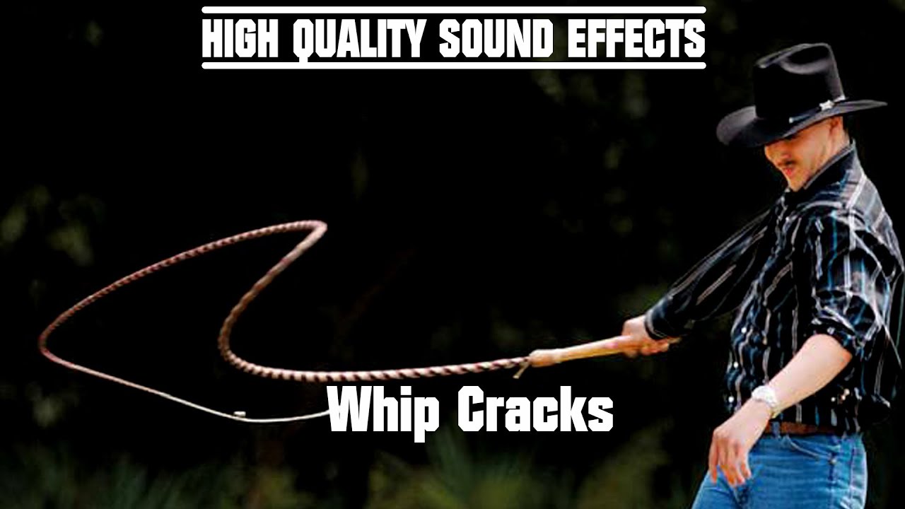 High Quality Sound Effects [Whip Cracks]