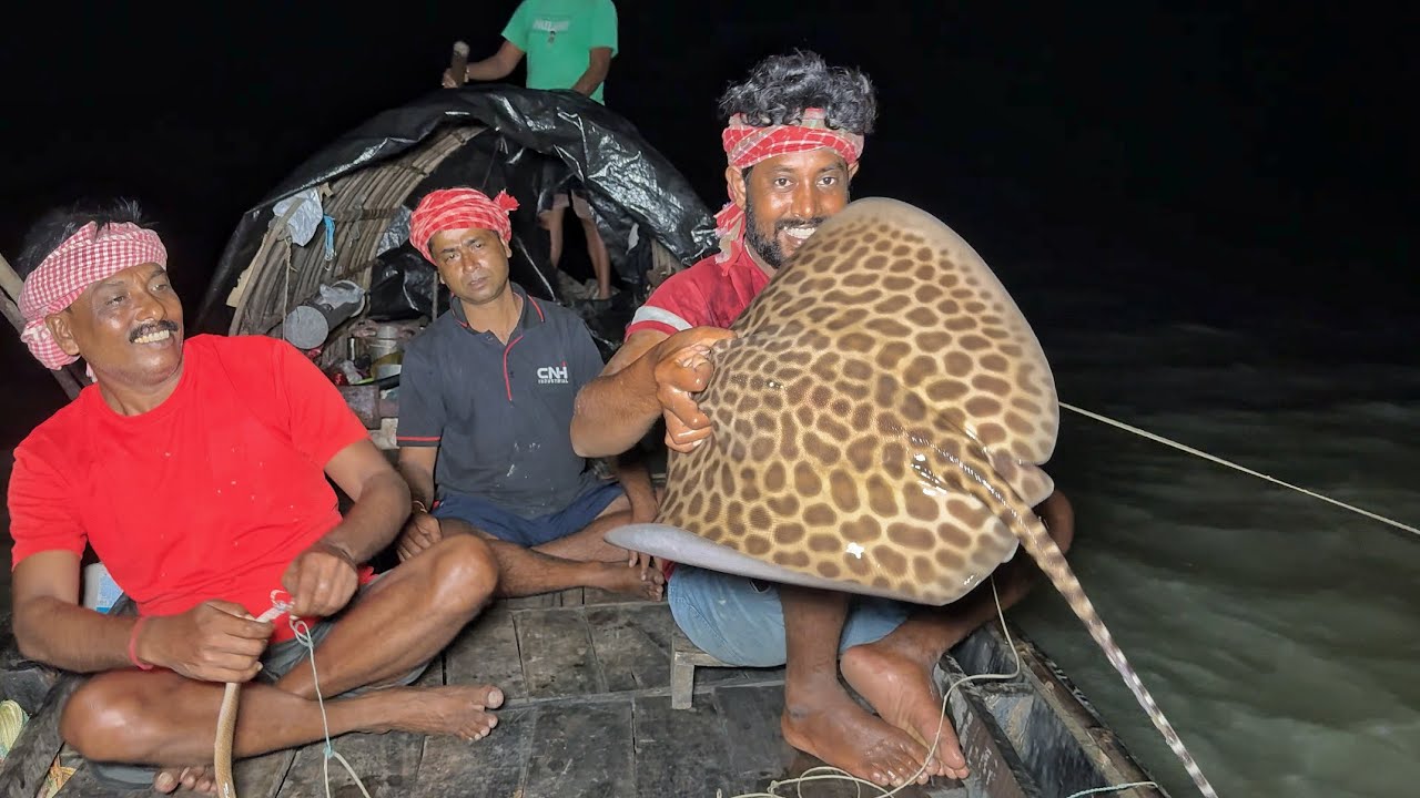 চট গুলের চার দিয়ে বিদ্যাধরি নদী থেকে,বড় সাইজের বাঘা মুরুলি ধরলাম!!!