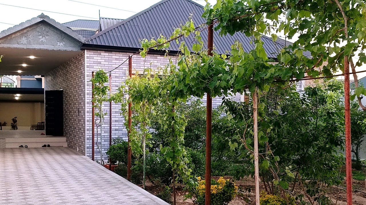 SƏLİQƏLİ HƏYƏT EVİ 👉 ŞƏXSİ TİKİLİ 6 SOTDA 3 OTAQLI 👉BİLƏCƏRİDƏ KOD-1128 ƏLAQƏ 👇