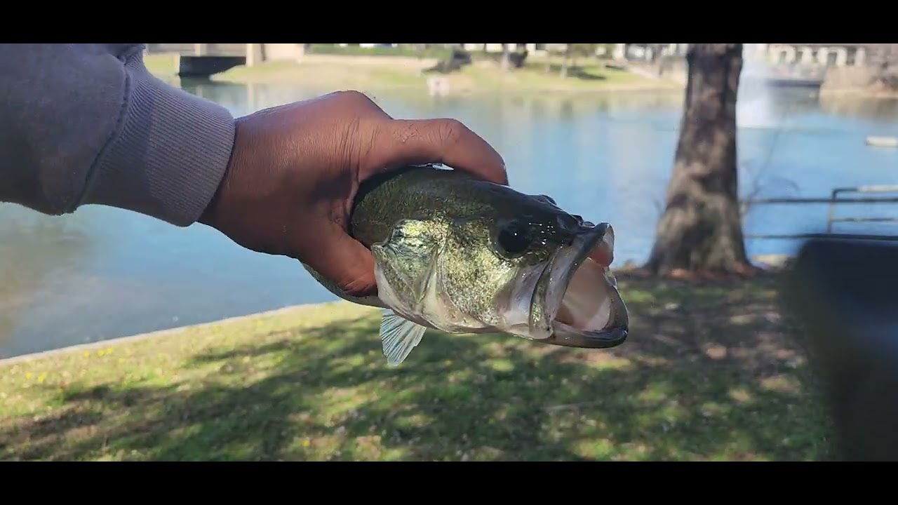 FIRST BASS FISHING VIDEO on my new channel...please like and subscribe 