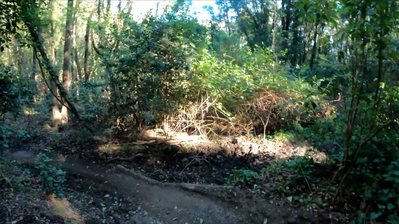 VIPERONE, PIOMBINO LIVORNO