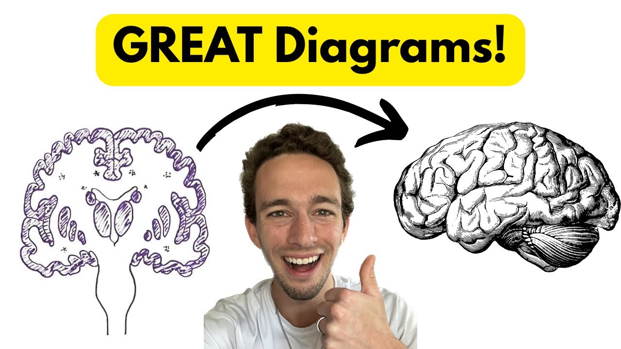 Cerebral Cortex Explained: Lobes, Functions, & Neural Connections | Brain Anatomy