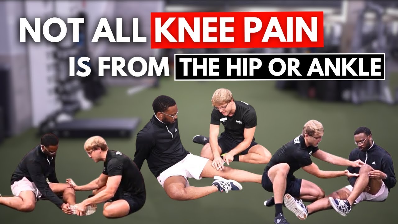 Knees Are Misunderstood: The Patella, Tibia Rotation & Hamstrings
