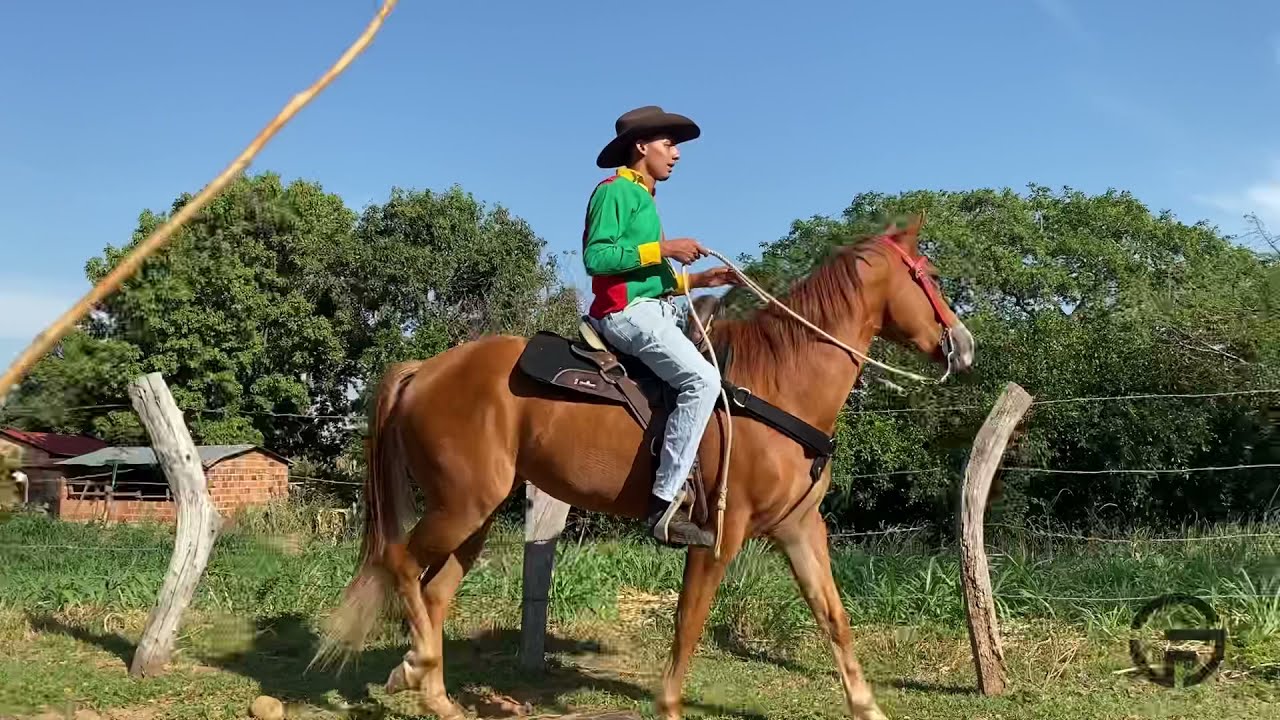 Ariel Pérez - Camino que va ahí pa’ arriba (video oficial)