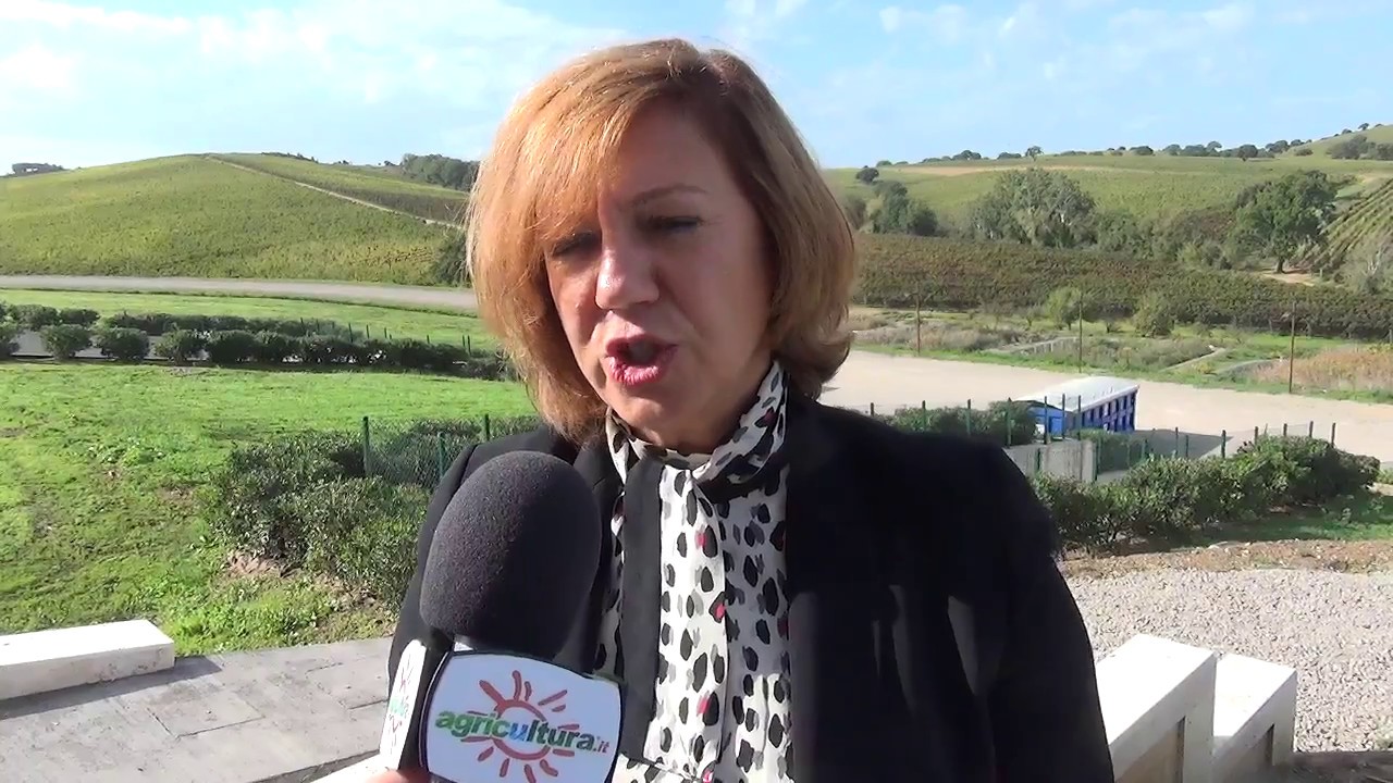 Per i wafer di Loacker ci vogliono 3mila ettari di nocciole. Nuove coltivazioni in Toscana