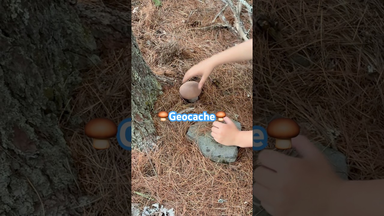 Such a cool find! 🍄&zwj;🟫 #geocaching #geocachingadventure #geocachers #subscribe