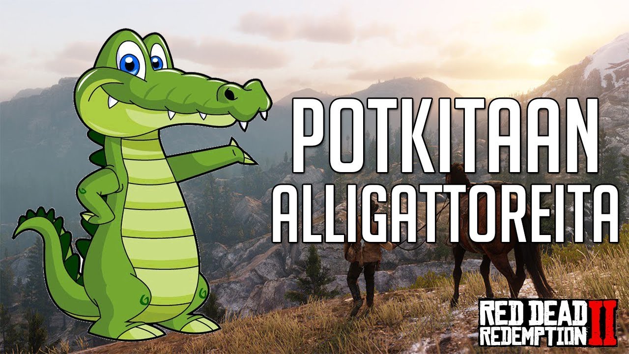 POTKITAAN ALLIGAATTOREITA !