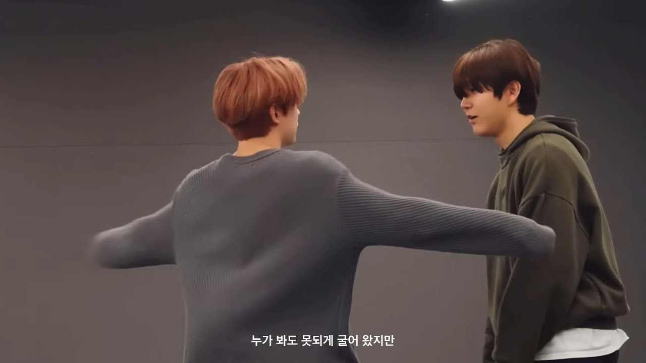 pet   #윳댕