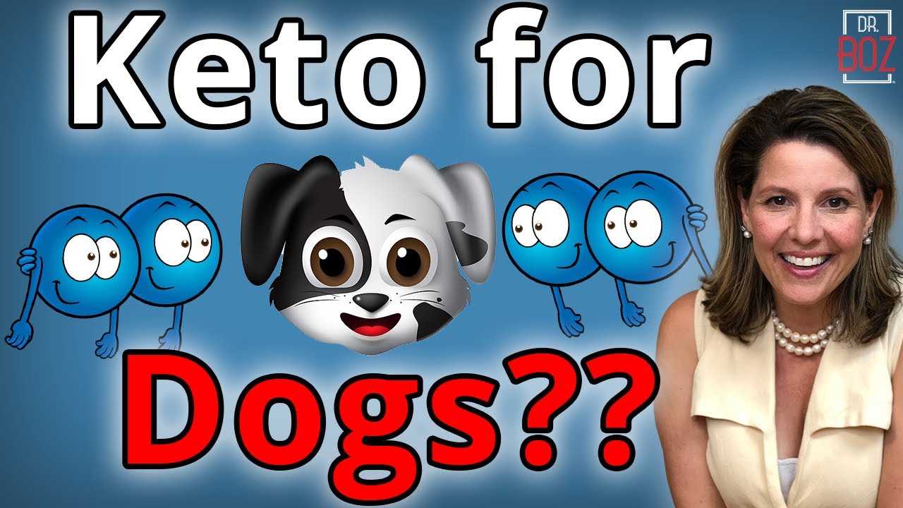 Keto for Dogs, How Keto Dog Food Can Avoid Vet Nightmares - Dr. Boz