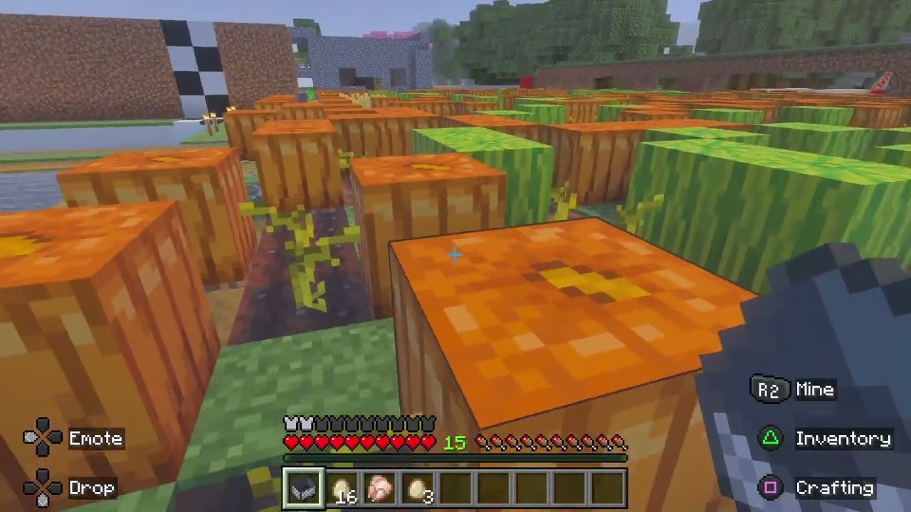 Minecraft_20260206205045