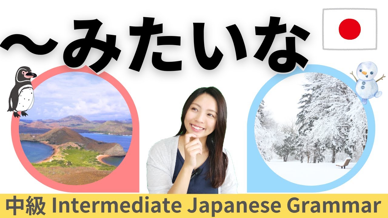 日本語練習／中級【～みたいな／のような】会話