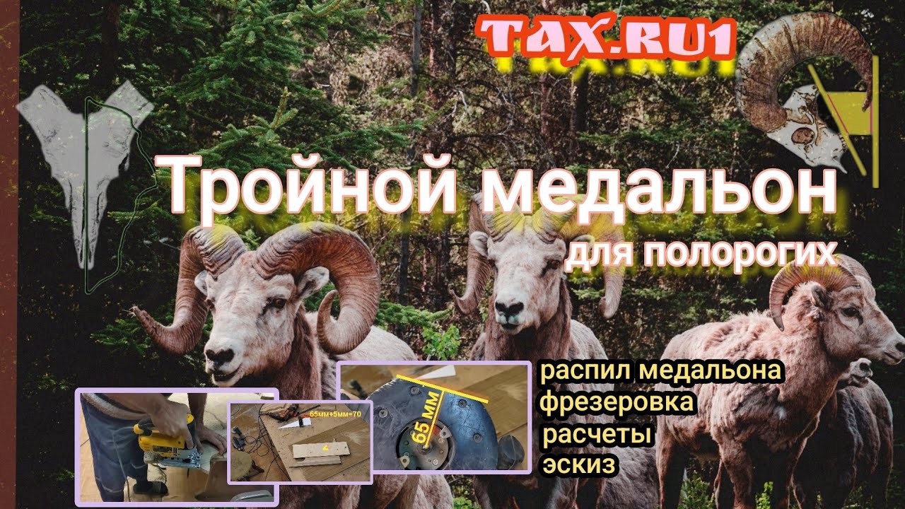 Тройной медальон для рогов (баран, козерог, тур)