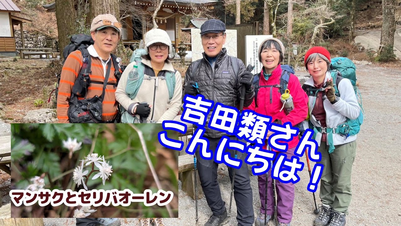 吉田類さんにバッタリ！長崎県「多良岳」のマンサクとセリバオーレン山行