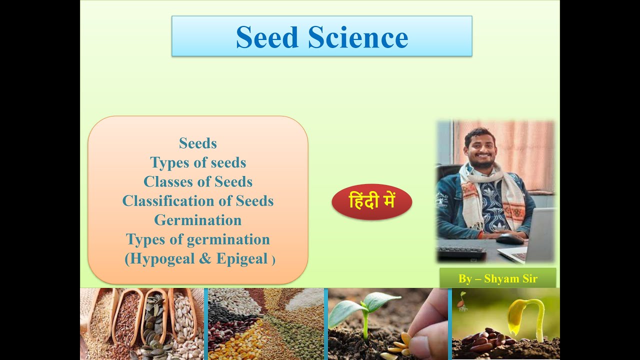 Seed Science | seed germination | classes of seeds | types of seeds |classification of seed