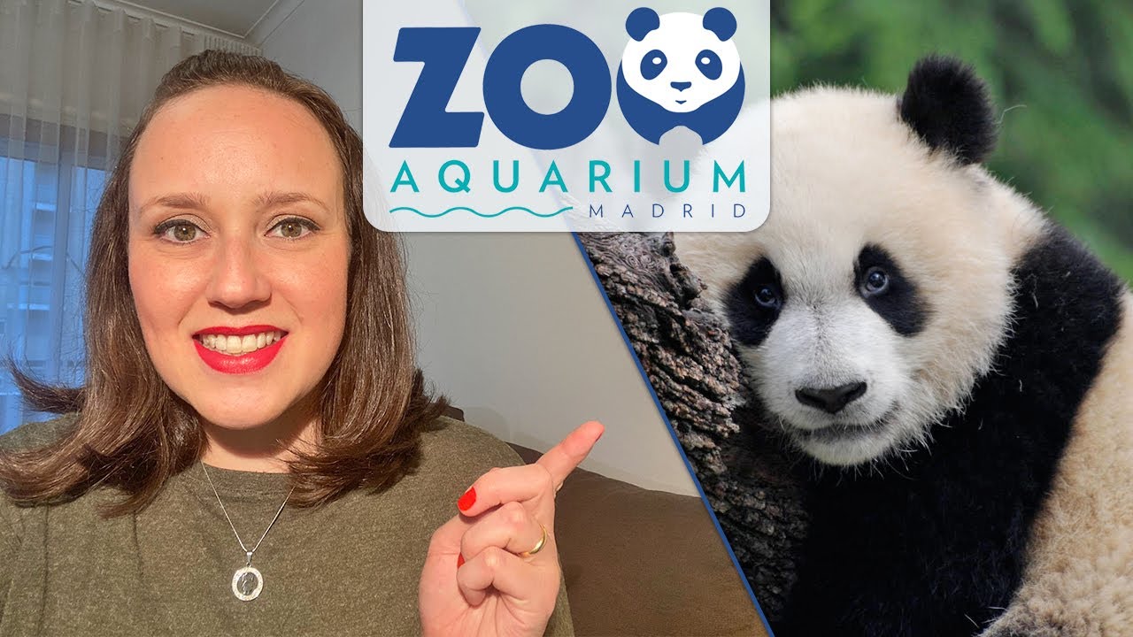 Zoo Madrid: vale a pena visitar?