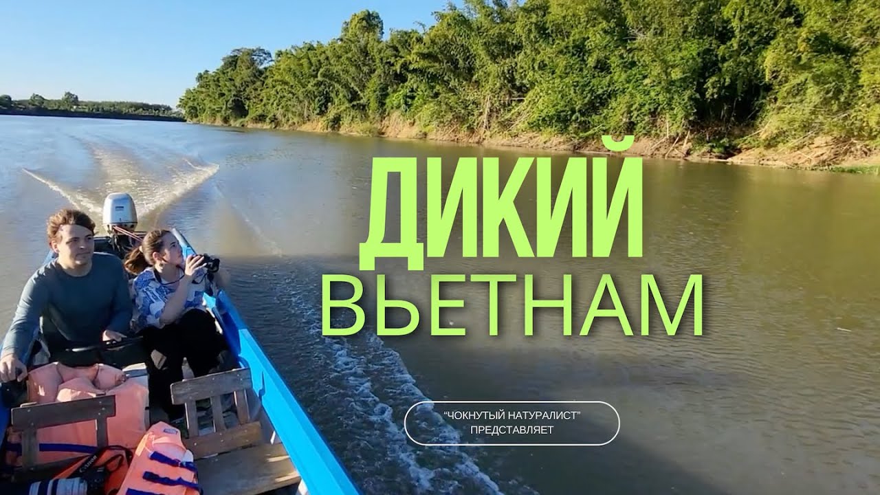 Дикий Вьетнам: Хошимин, Каттьен, Вунгтау // Wild Vietnam: Ho Chi Minh, Cat Tien, Vung Tau