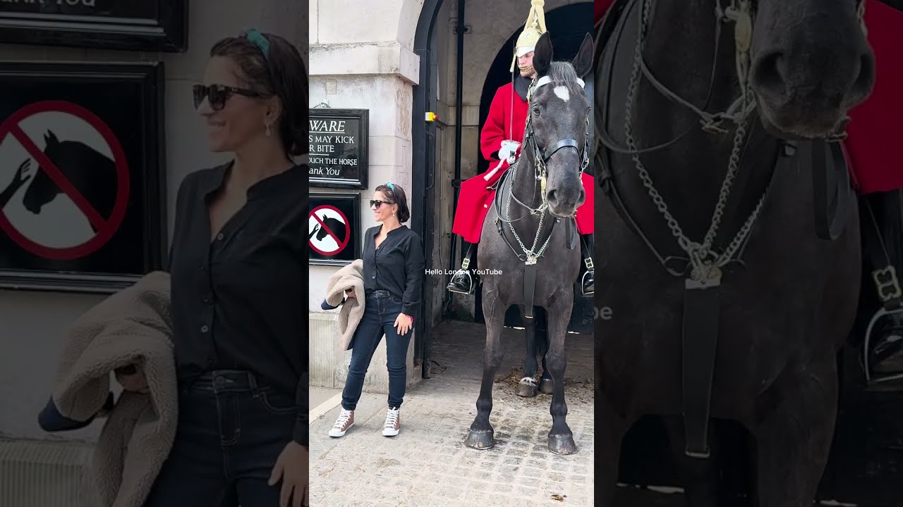 Best Moments at Horse Guards - Guard confronted tourists for breaking the rules. 