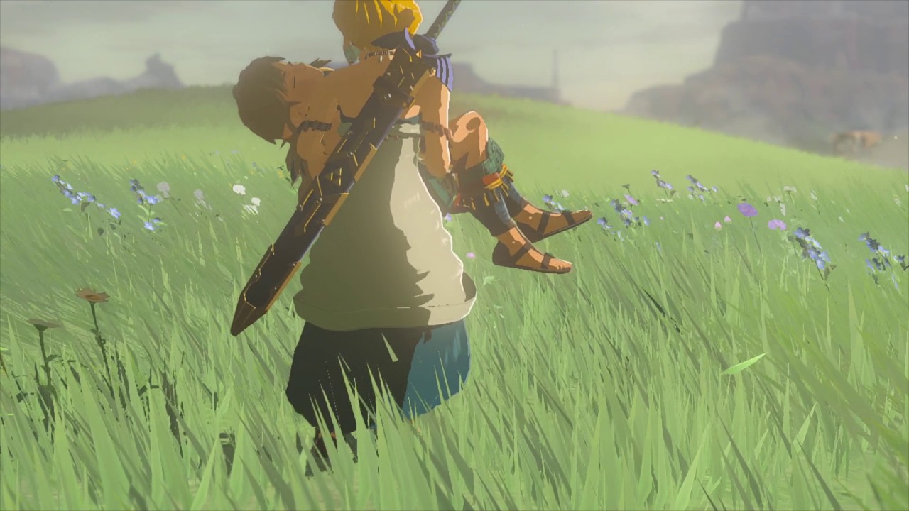 HOLD ON LINK only 894 Koroks LEFT