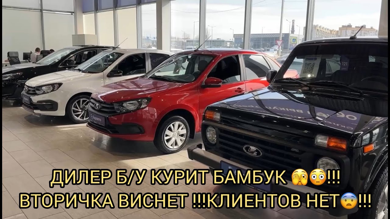 КУРИТ БАМБУК ДИЛЕР Б/У 😯😱❗НЕТ НИ ОДНОГО ЧЕЛОВЕКА 😨❗