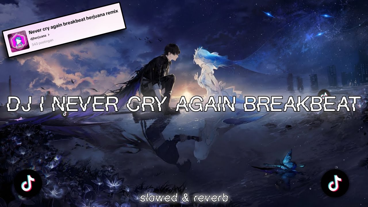DJ I NEVER CRY AGAIN BREAKBEAT REMIX BY 𝙙𝙟𝙝𝙚𝙧𝙟𝙪𝙖𝙣𝙖 || slowed & reverb 🎧