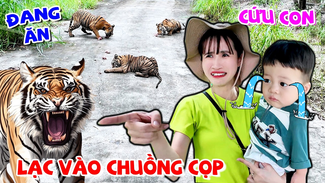 ZINO ĐI LẠC VÀO CHUỒNG CỌP - VÊ VÊ CHANNEL