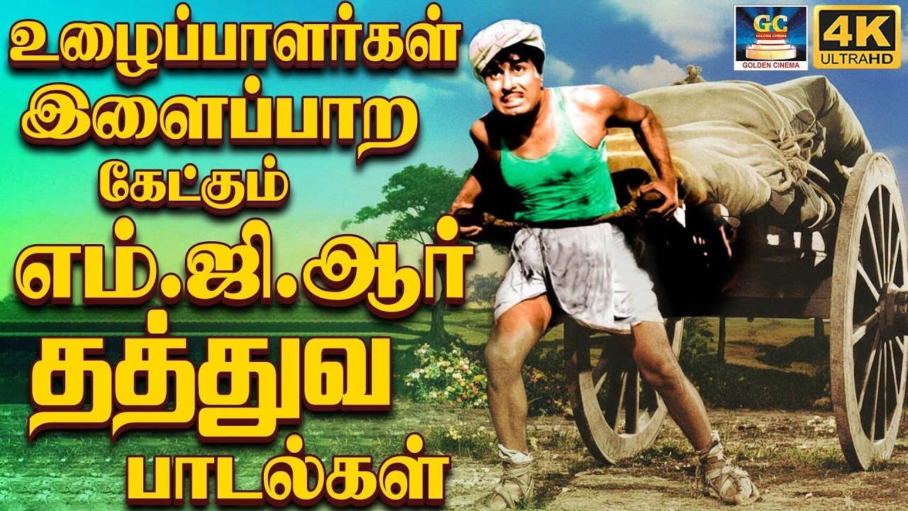 உழைப்பாளர்கள் இளைப்பாற கேட்கும் எம்.ஜி.ஆர் தத்துவ பாடல்கள் | MGR Philosophy Songs | TMS | 4K