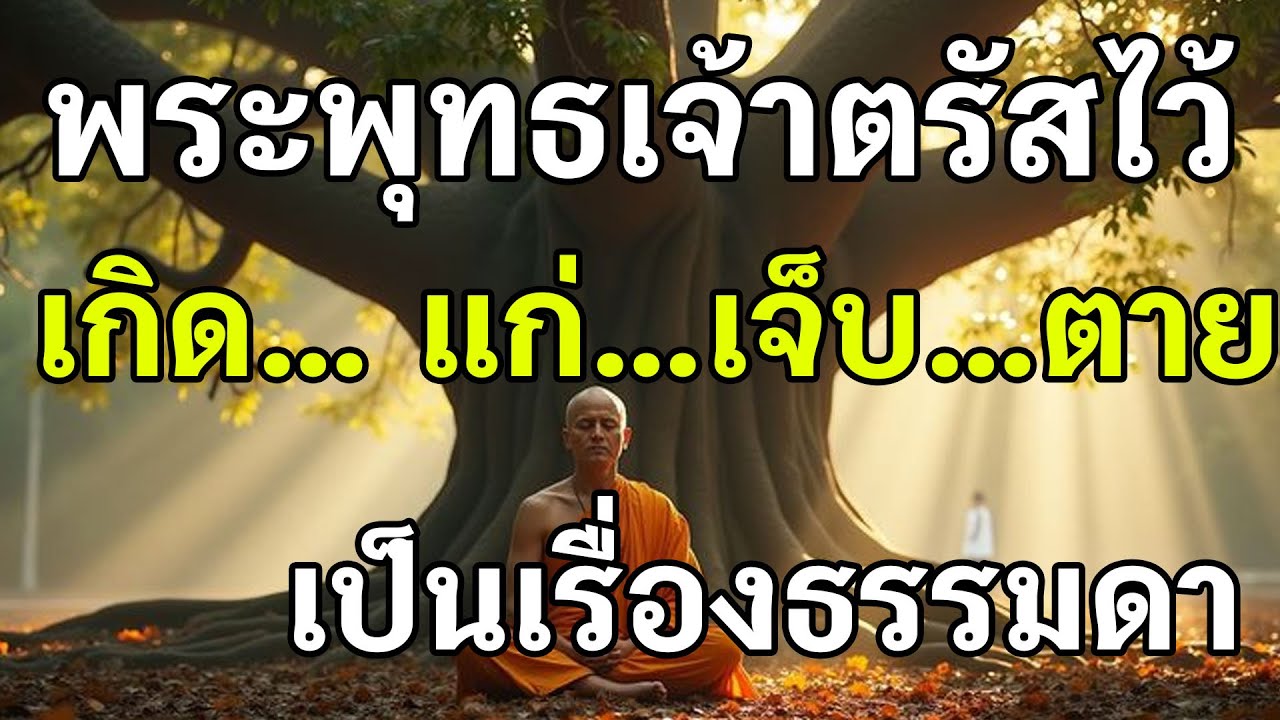 01ธรรมสอนใจ เตือนสติ พระพุทธเจ้าตรัสไว้ชัดเจน เกิด แก่ เจ็บ ตาย เป็นเรื่องธรรมดา11 15
