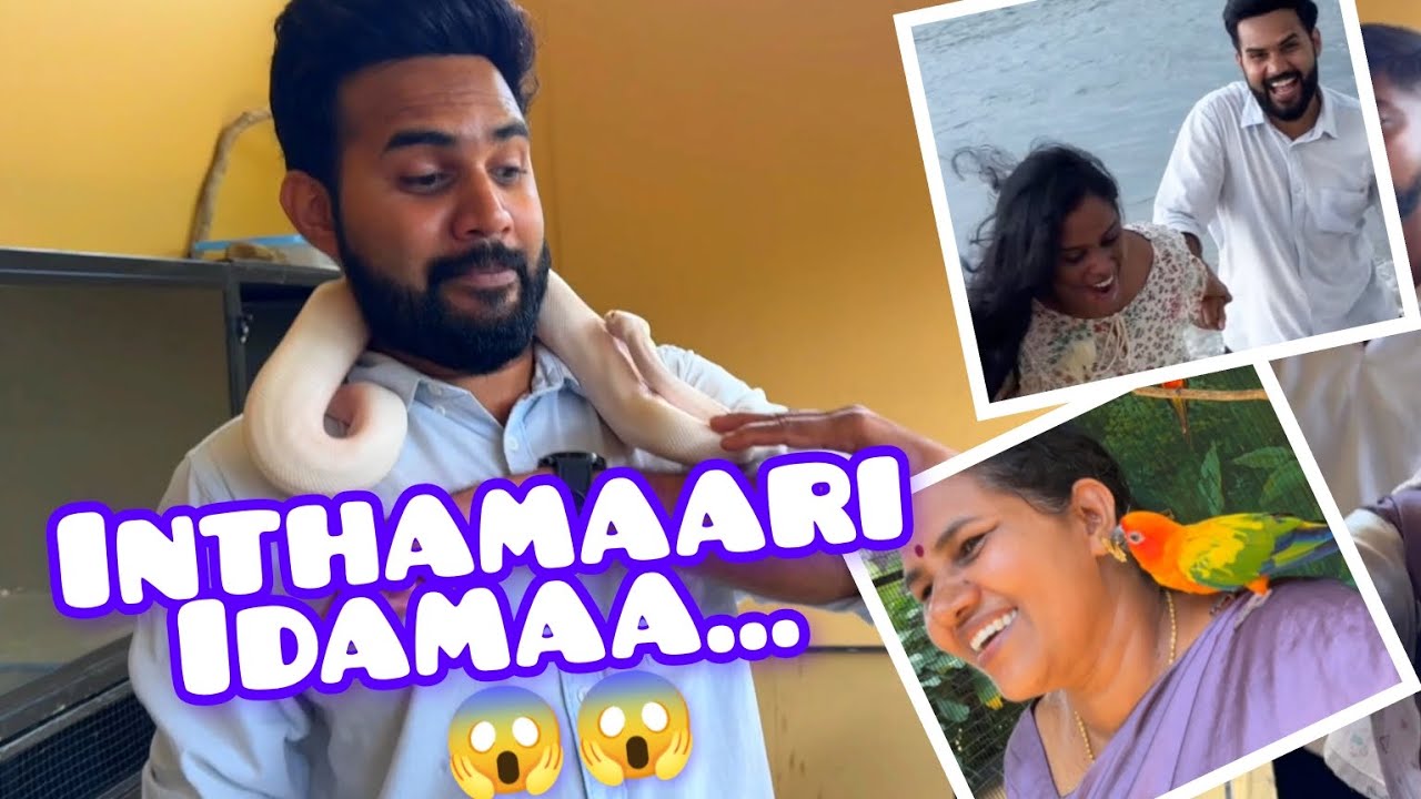Keralaavil Inthamaari idamaa 😱😨... #family #happiness #moments #love #kerala #thrissur #wildanimals