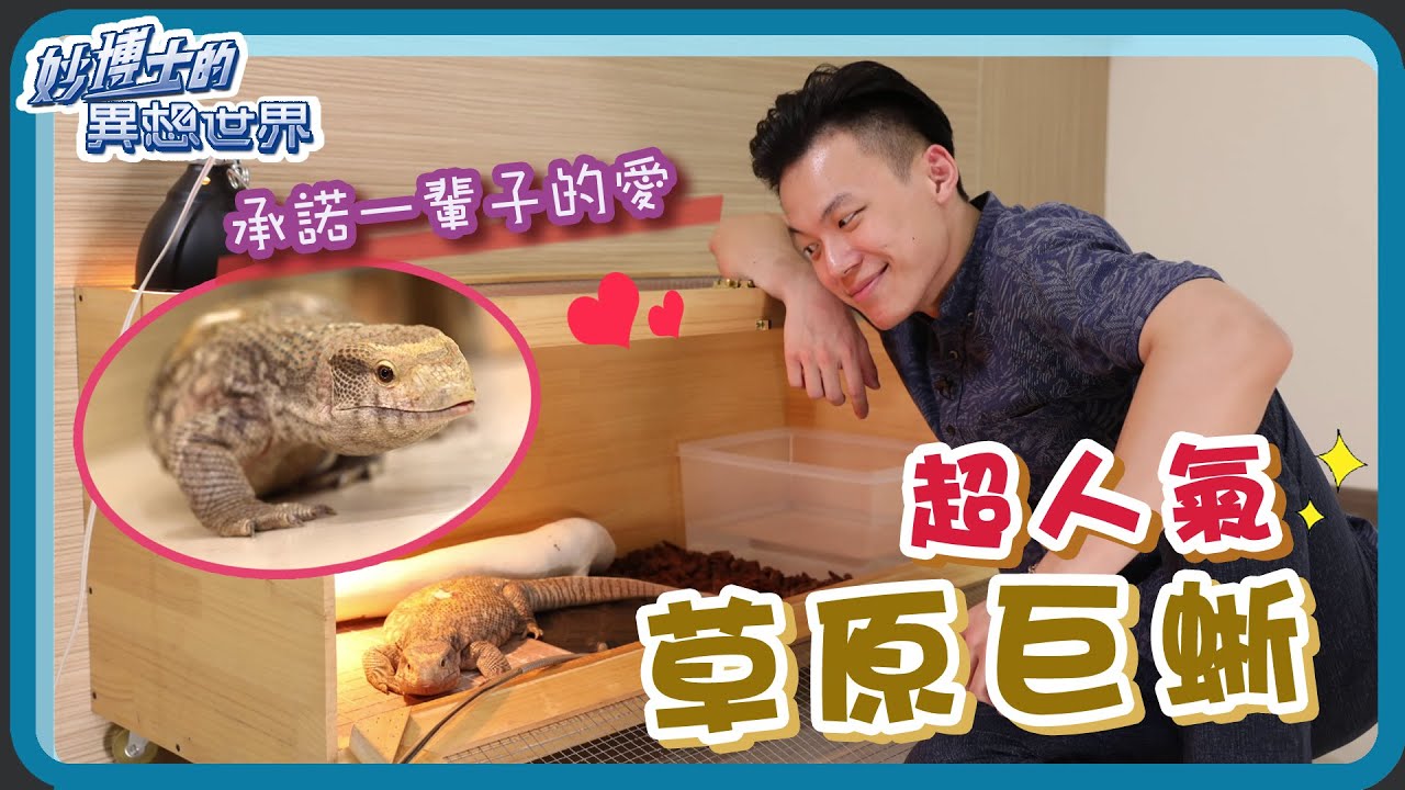 【妙博士的異想世界】20211028 - 認識爬蟲 ．草原巨蜥大解密