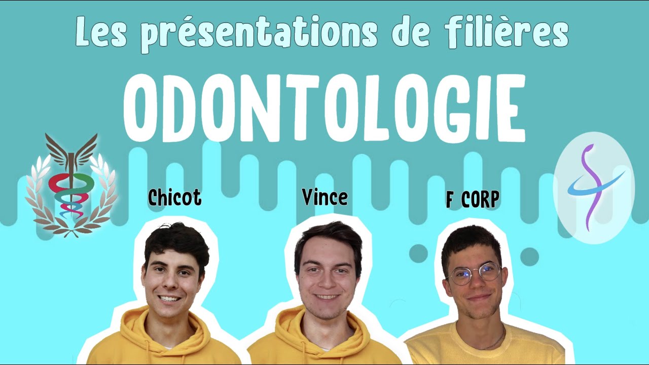 LES ÉTUDES D'ODONTOLOGIE À STRASBOURG