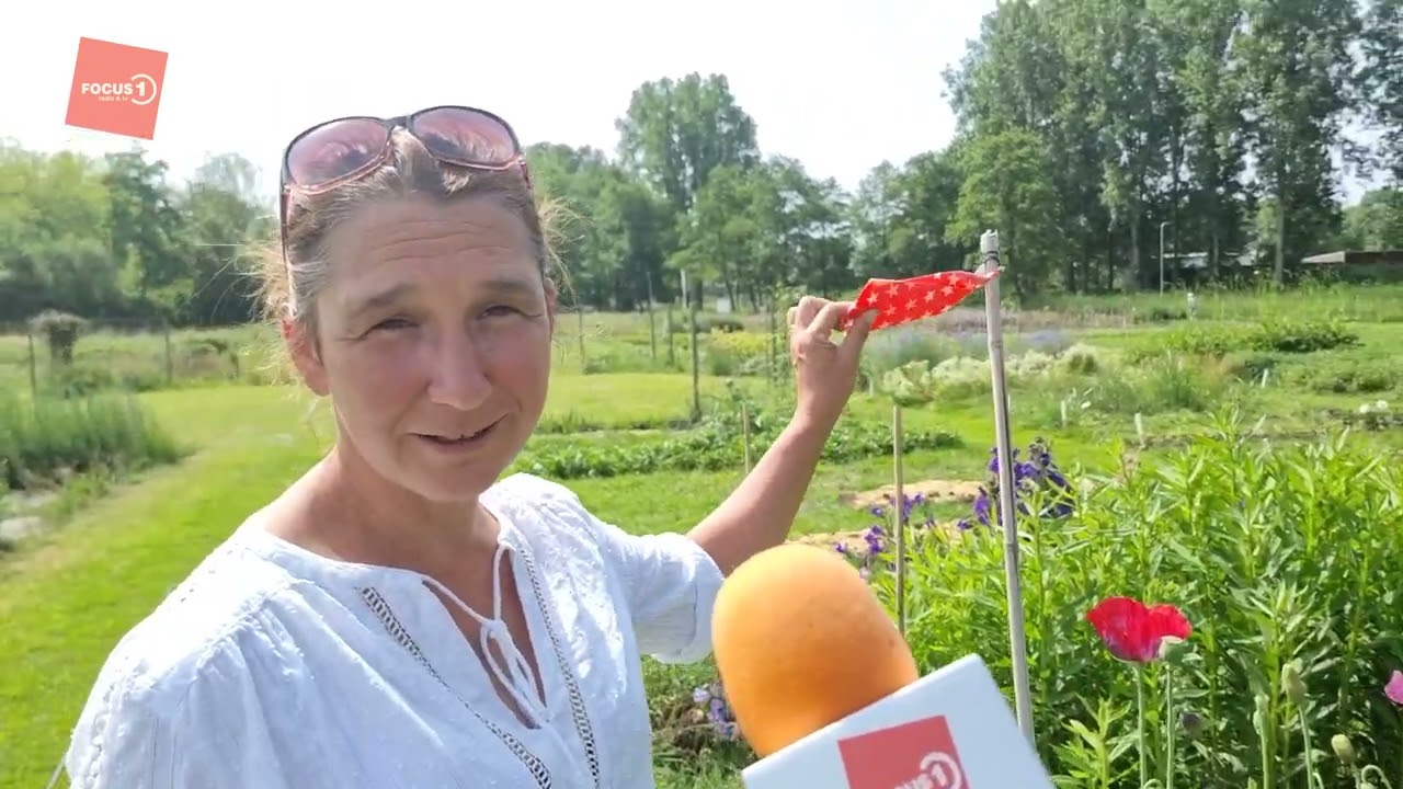 Opentuin in AA-landen Zwolle