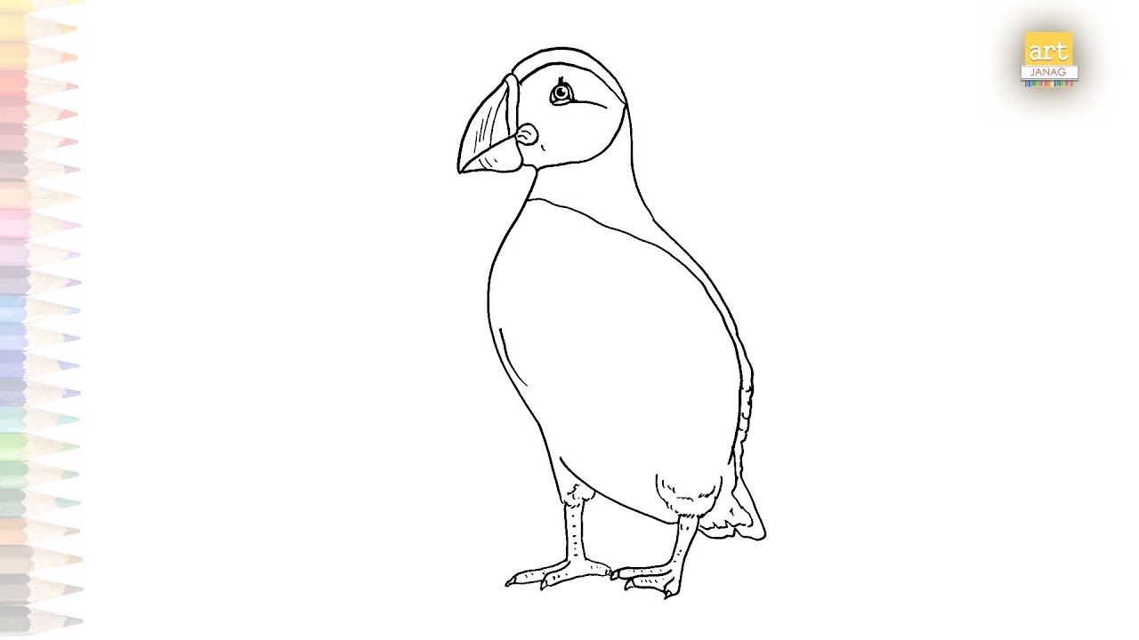 Atlantic puffin drawing easy | Bird drawing tutorial | How to draw A puffin step by step #artjanag