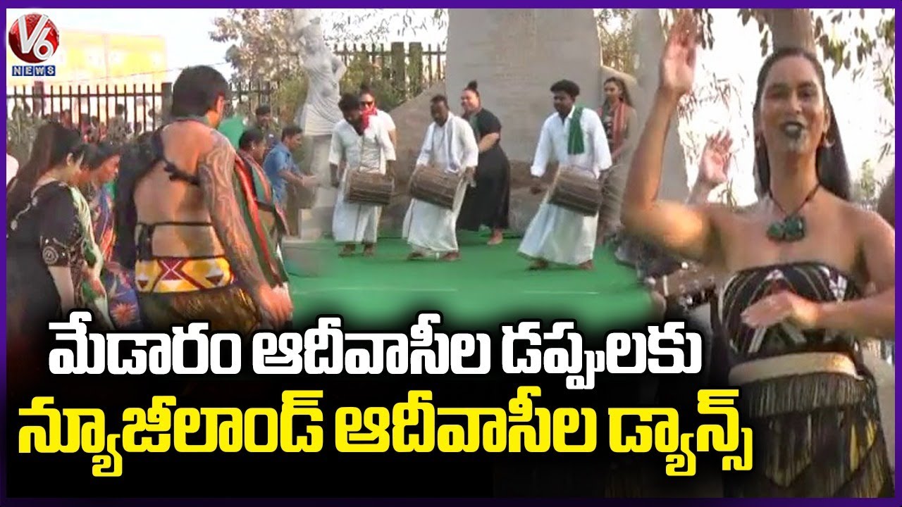 New Zealand Tribes Dance For Medaram Tribal Drum Beats | Medaram Jatara 2026 | V6 News