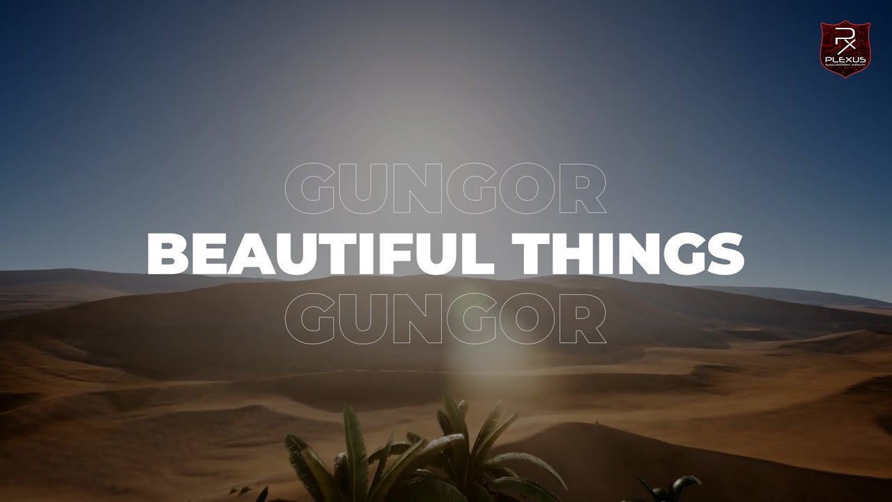 Beautiful Things - Gungor - Lyric Video