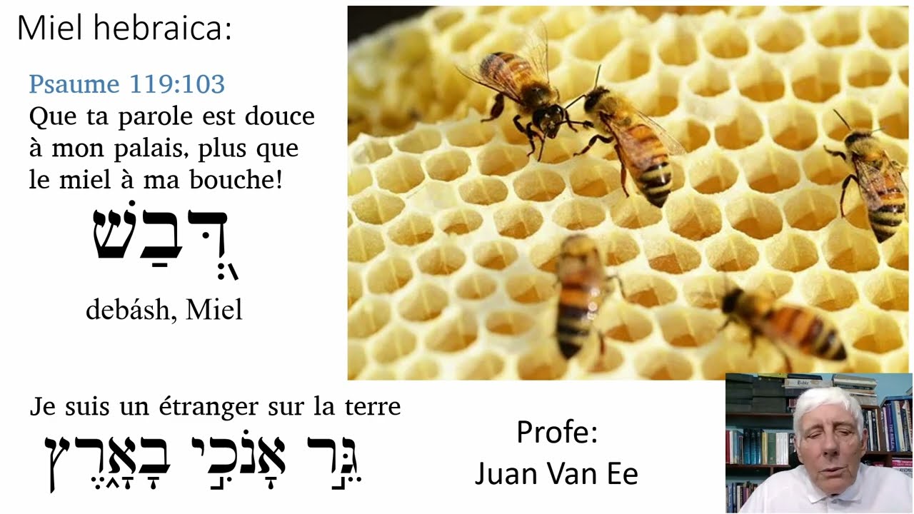 Je suis étranger sur la terre