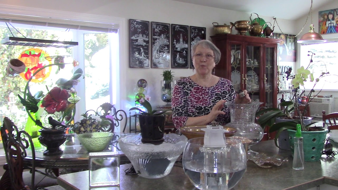 Phalaenopsis Orchids Humidity and Fogger Mister Bowl Information