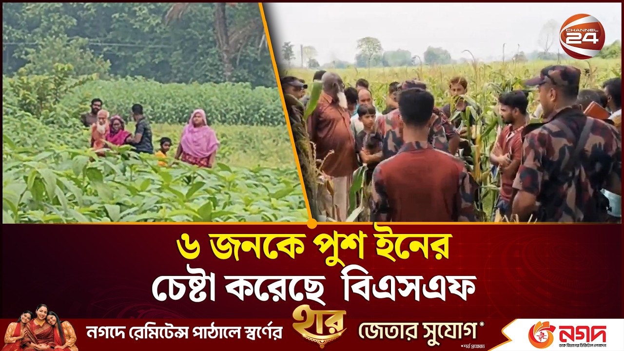 মেহেরপুর সীমান্ত দিয়ে ৬ জনকে পুশ ইনের চেষ্টা, সবশেষ পরিস্থিতি নিয়ে যা জানা গেল | Border News