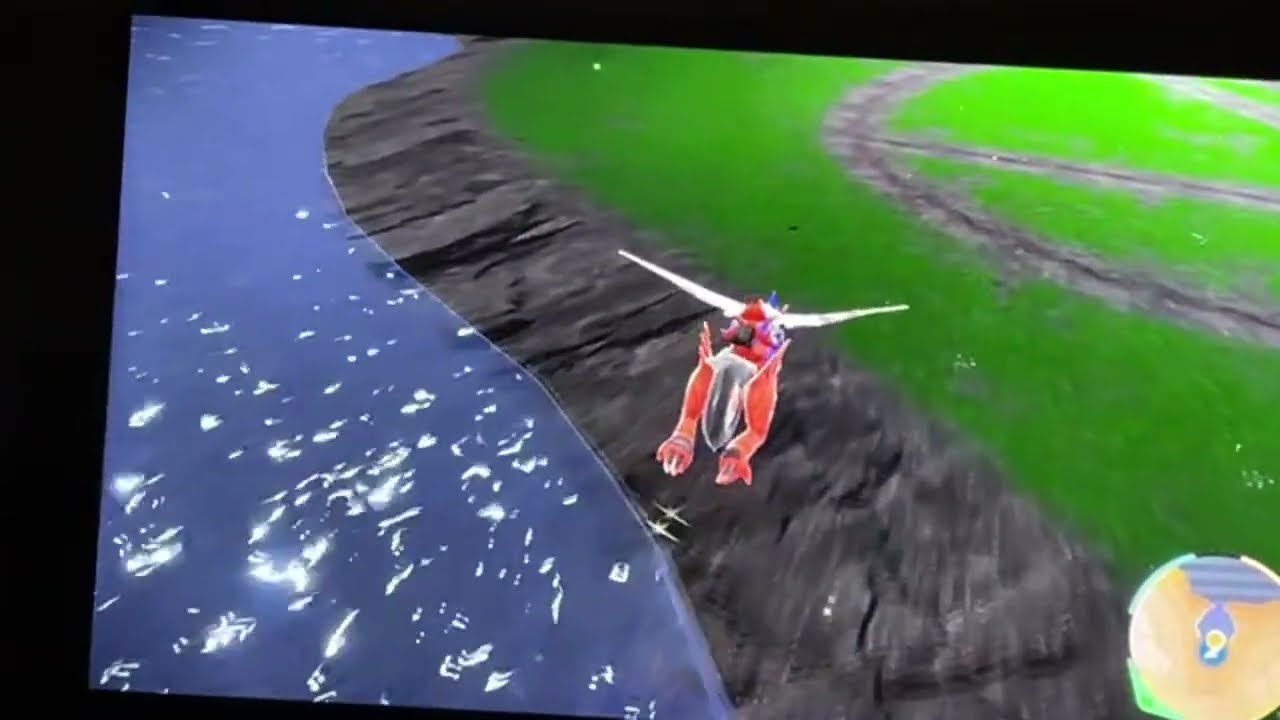 POKEMON  en vivo
