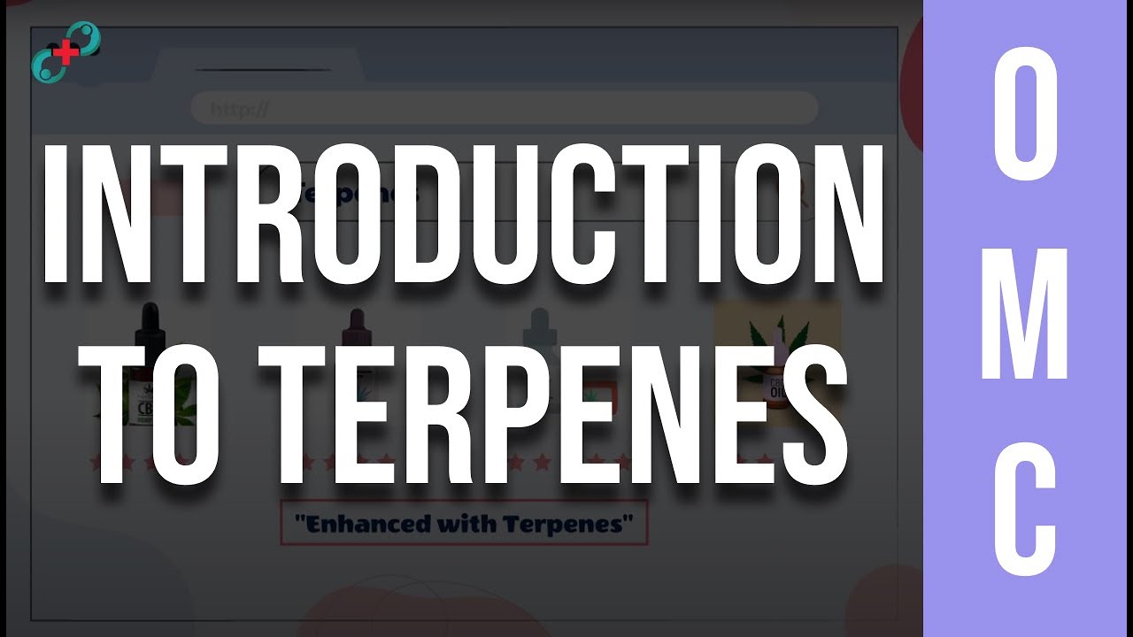 Understanding The Common Terpenes & Why You Should Care About Them 🤷&zwj;♀️