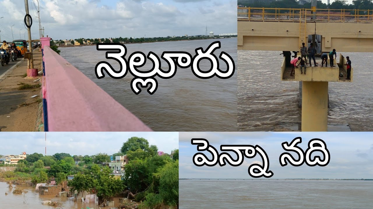Nellore Penna river floods | Penna bridge | Nellore local