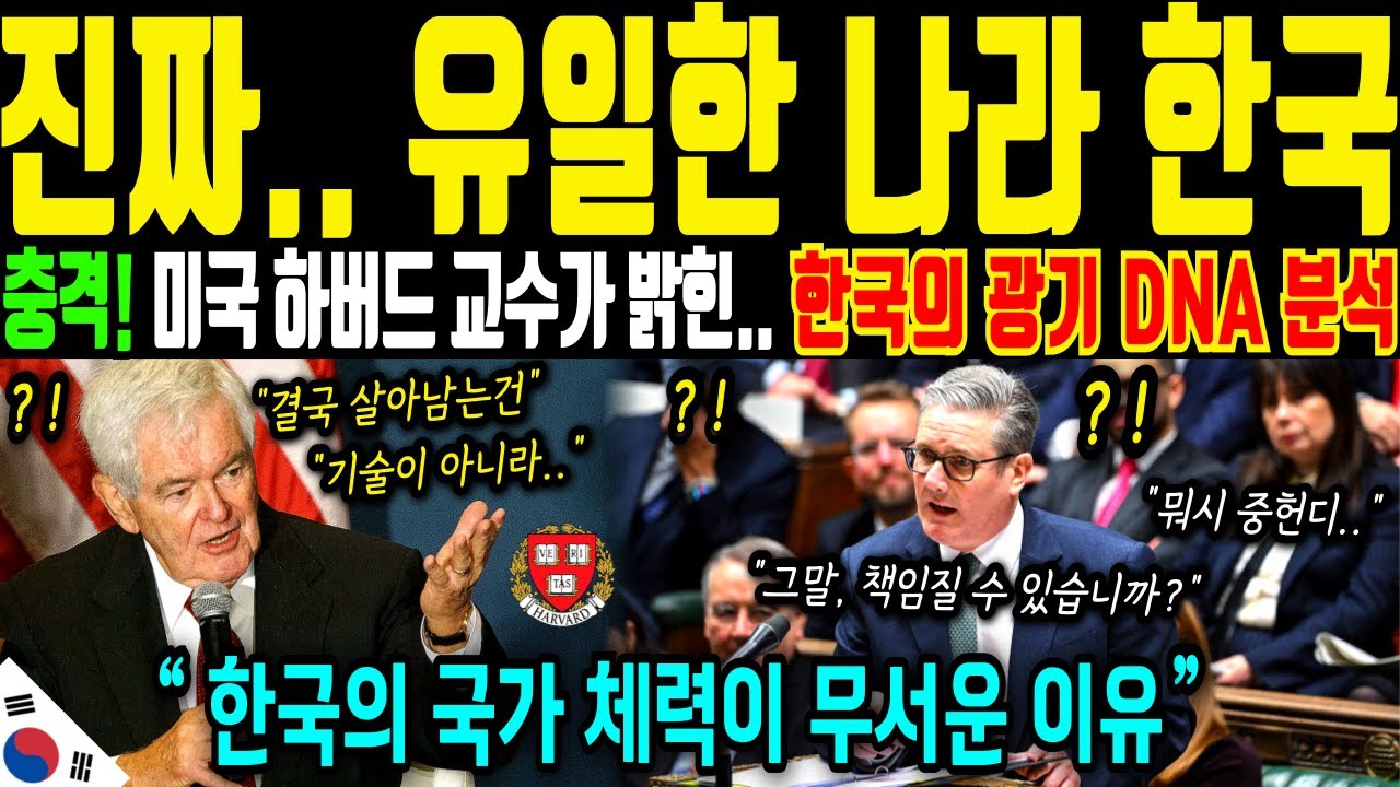 [해외감동사연] 충격! 진짜 숨 막히게 집요한 나라 한국! 미국 하버드 교수의 충격적인 분석, 세계는 한국을 조심해라