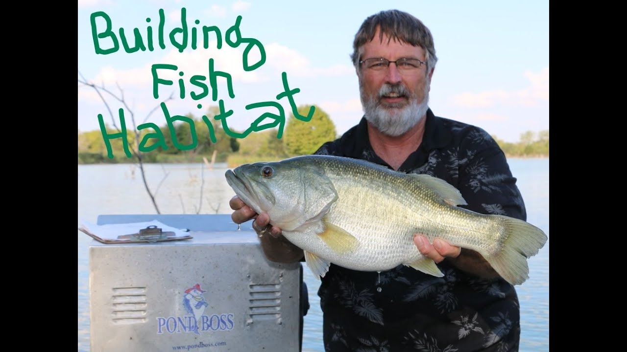 Building Fish Habitat