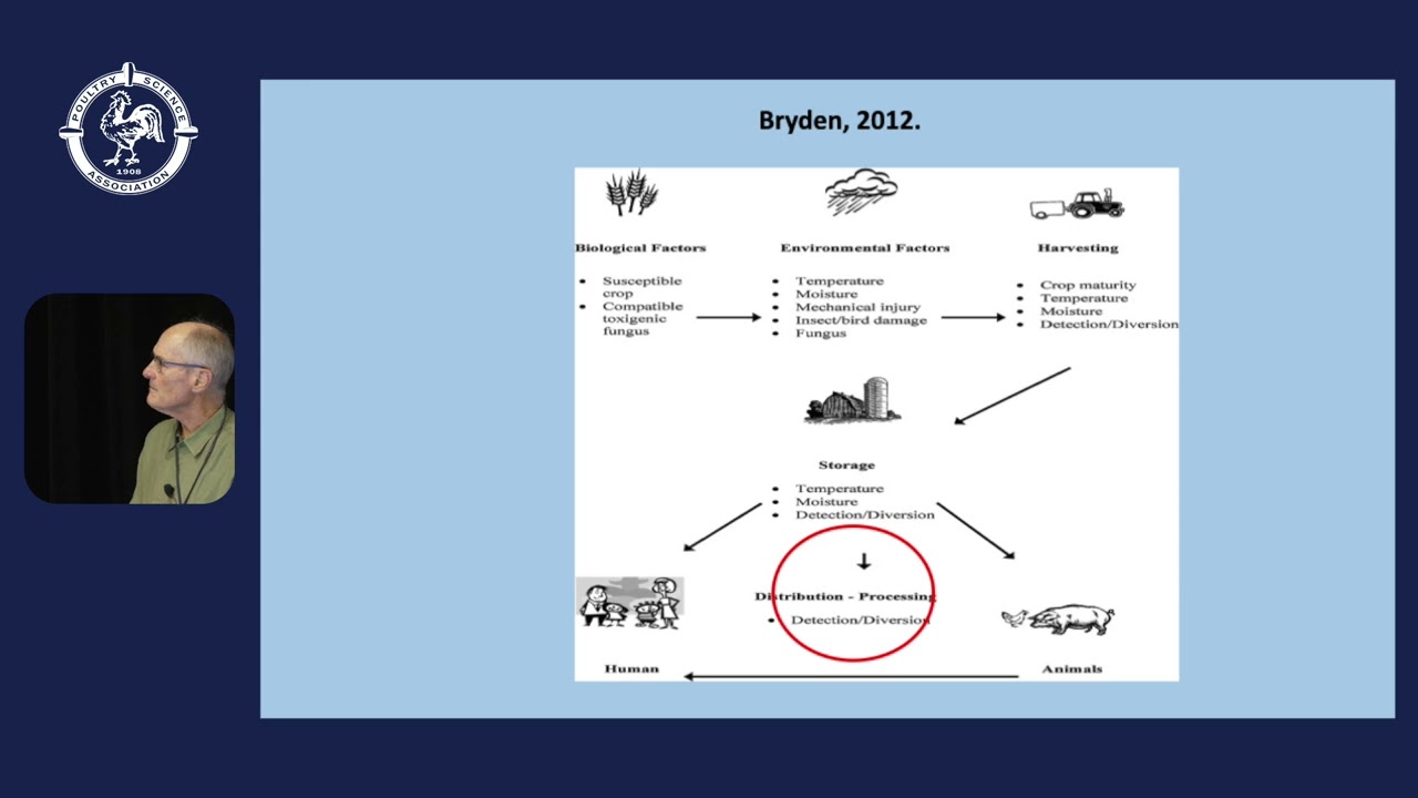 Day 4   PM Sessions   The Different Stages of Mycotoxin Management