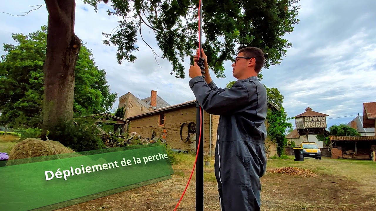 Perche télescopique carbone 3K guêpes et frelons asiatiques - Buzzbusters