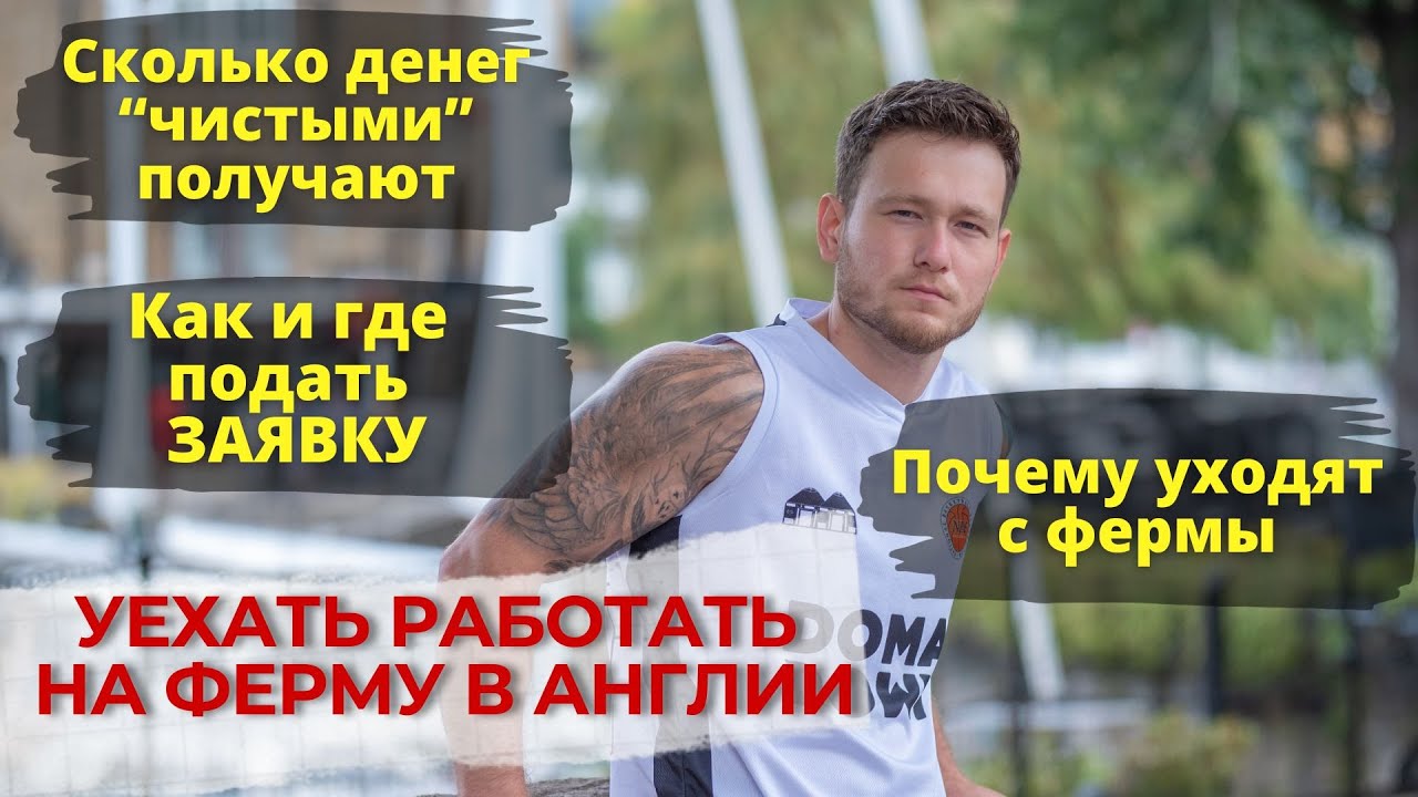 Как уехать работать на ферму в Англии. Вся правда о ферме.