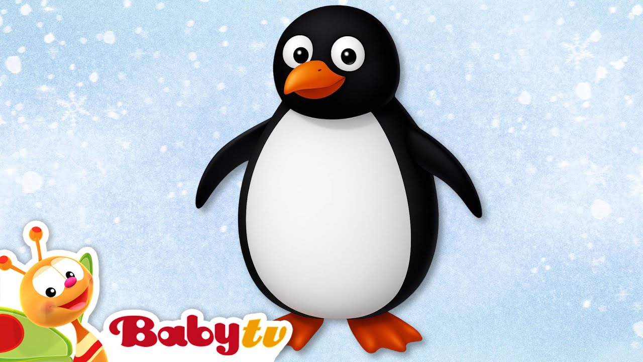 Penguin Animal Sound & Name for Kids 🐧 | Learn with BabyTV